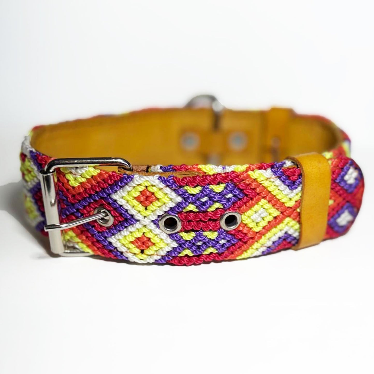 #39 -Large- Berryblast Dog Collar & Leash Set