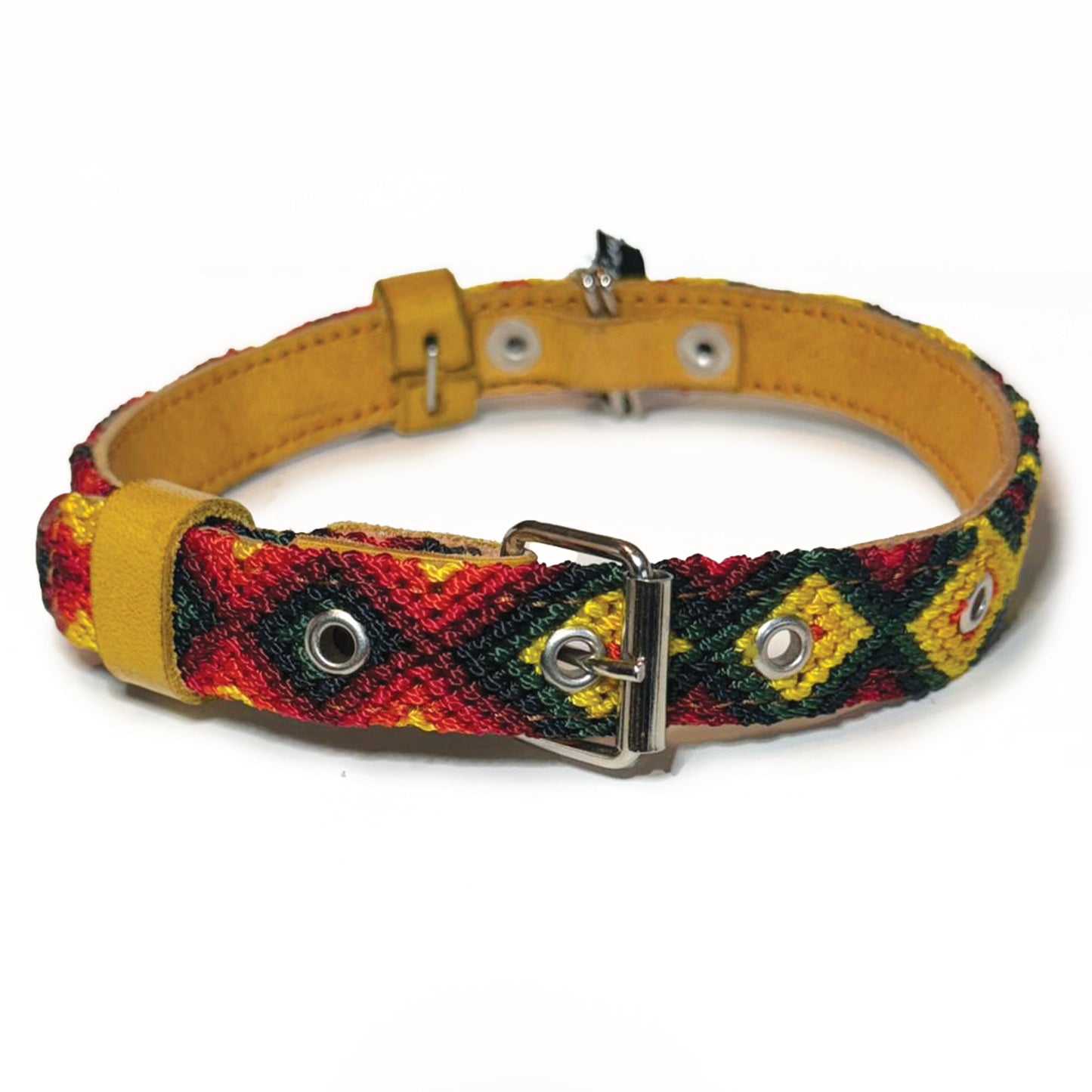 #32 -Medium-Loro Collar & Leash Set