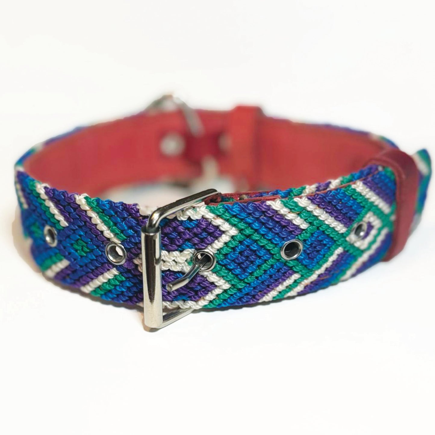 #41 -Large- Breeze Dog Collar & Leash Set