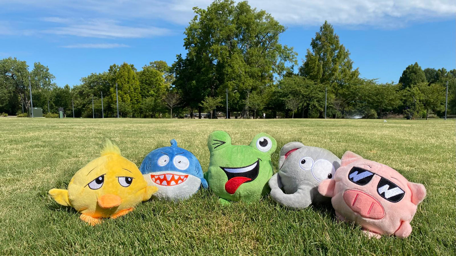 Dog Toys