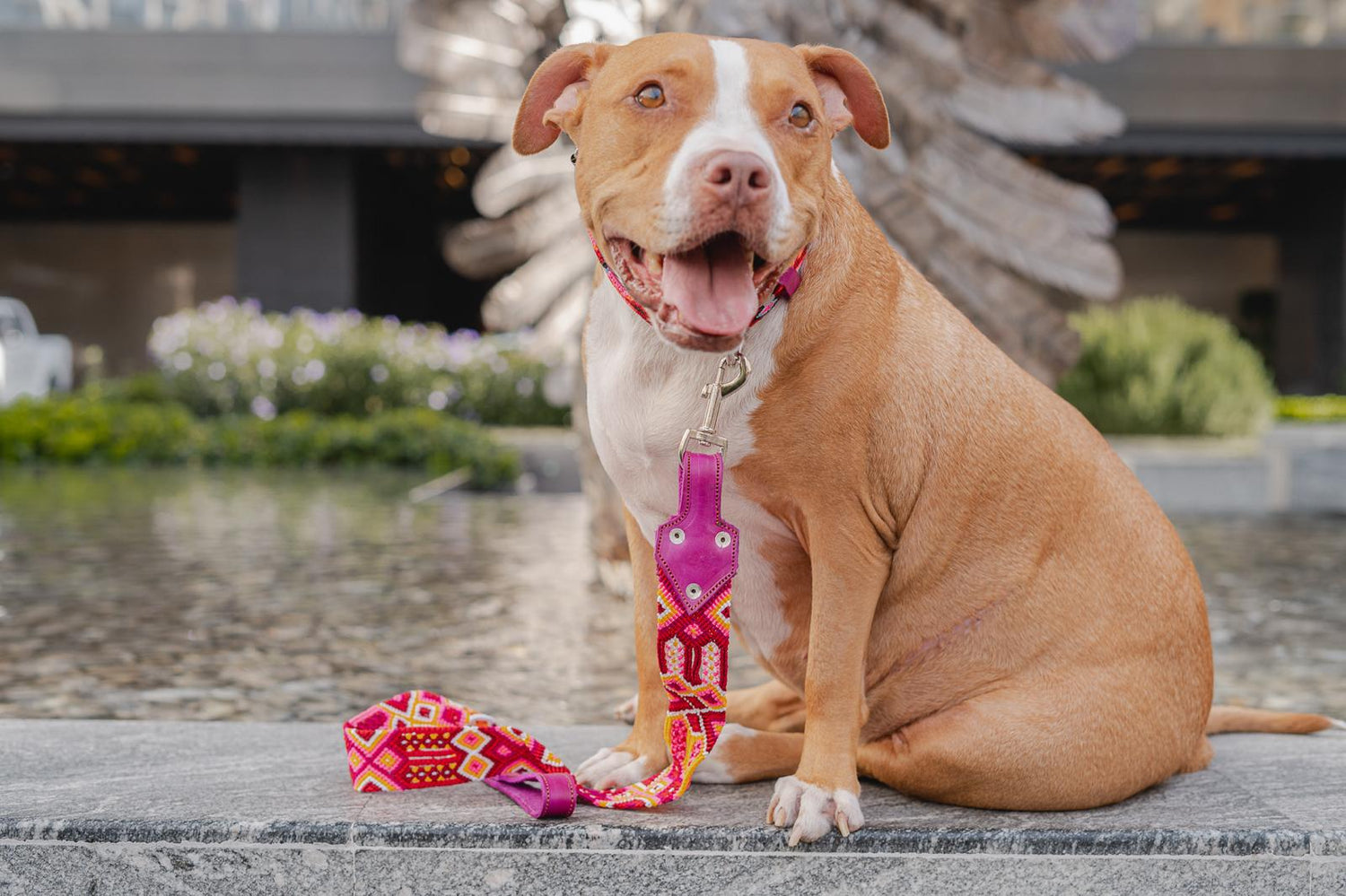 Artisan Dog Collar & Leash Sets