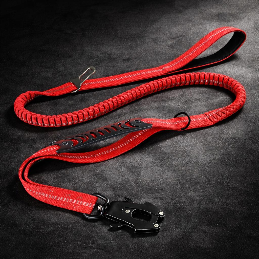 Seat Belt Leashes
