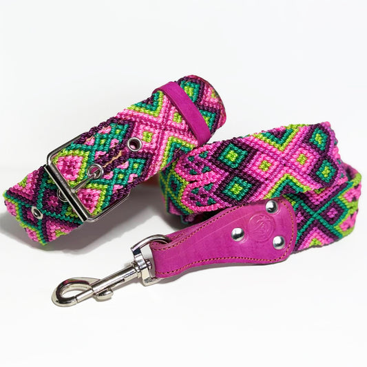 #57 -Large- Wildberry Dog Collar & Leash Set