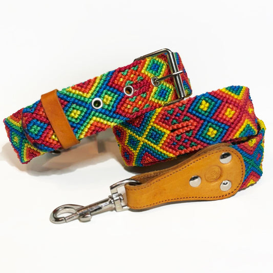 #44 -Large- Funhouse Dog Collar & Leash Set