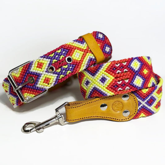 #39 -Large- Berryblast Dog Collar & Leash Set