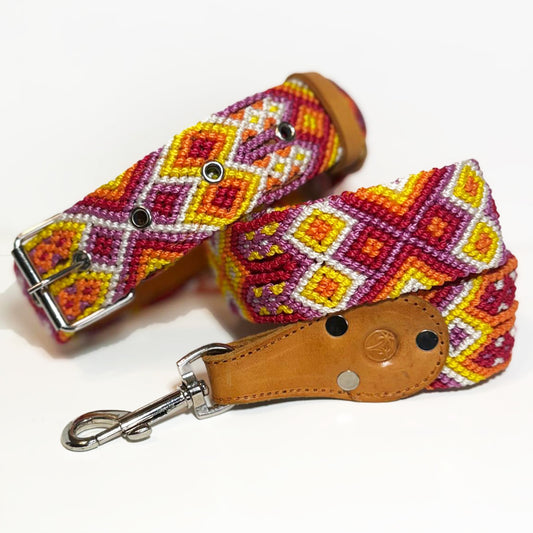 #47 -Large- Phoenix Dog Collar & Leash Set