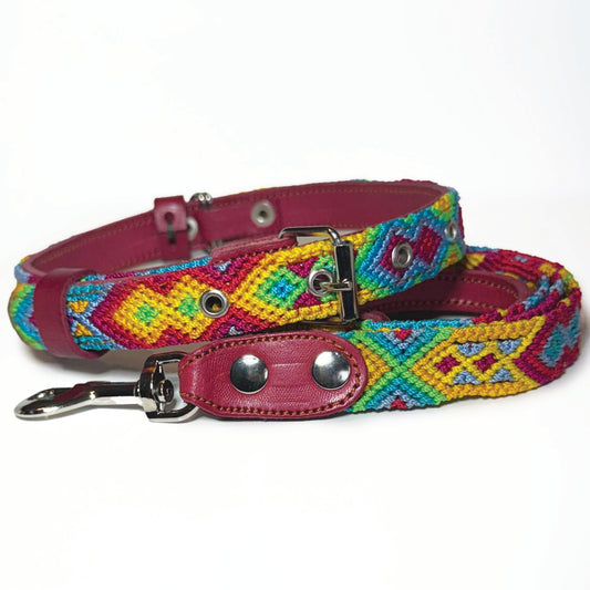 #19 -Medium- Mango Collar & Leash Set