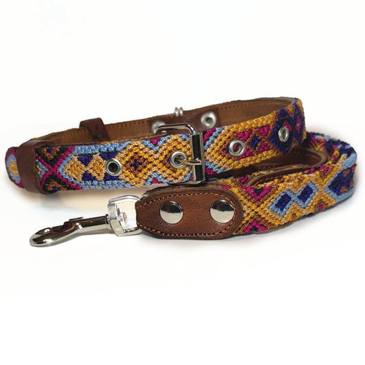 #20 -Medium- Blueberry Pie Collar & Leash Set