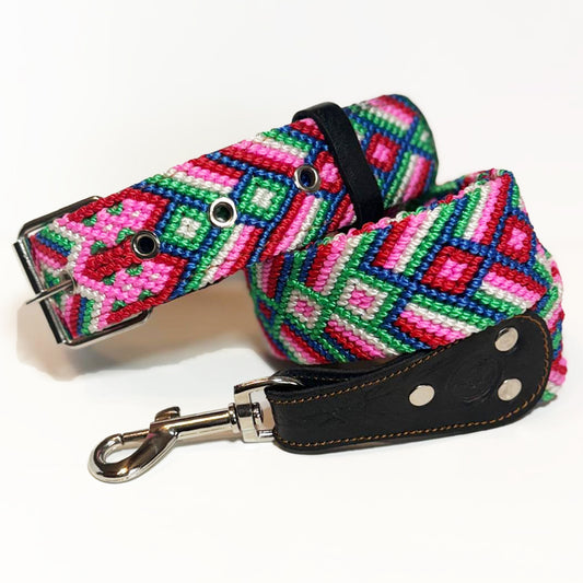#38 -Large- Aurora Dog Collar & Leash Set