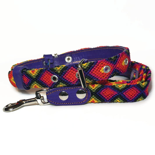 #21 -Medium-Mariposa Collar & Leash Set