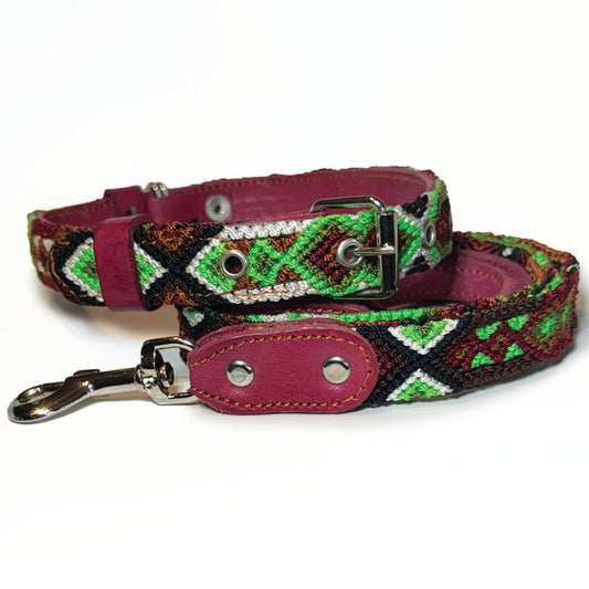 #22 -Medium-Verde Collar & Leash Set