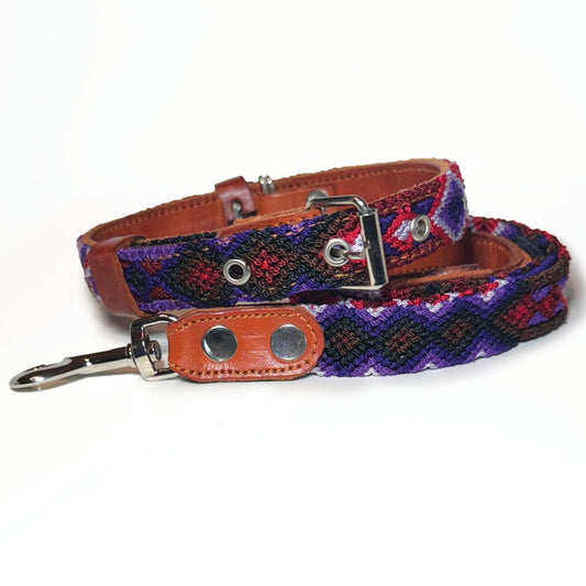 #28 -Medium- Uva Collar & Leash Set