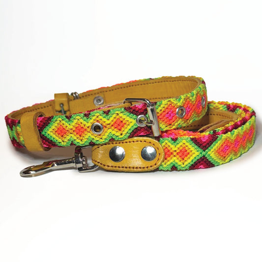 #29 -Medium- Rave Collar & Leash Set