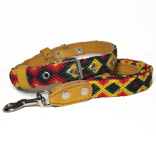 #32 -Medium-Loro Collar & Leash Set