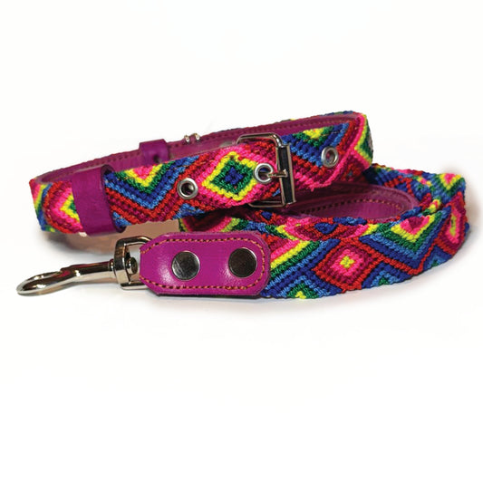 #36 -Medium- Sunberry Collar & Leash Set