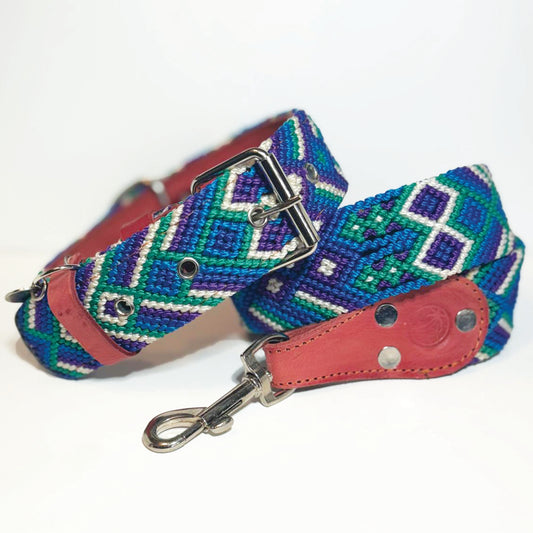 #41 -Large- Breeze Dog Collar & Leash Set
