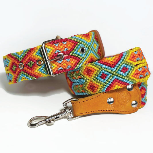 #43 -Large- Carousel Dog Collar & Leash Set