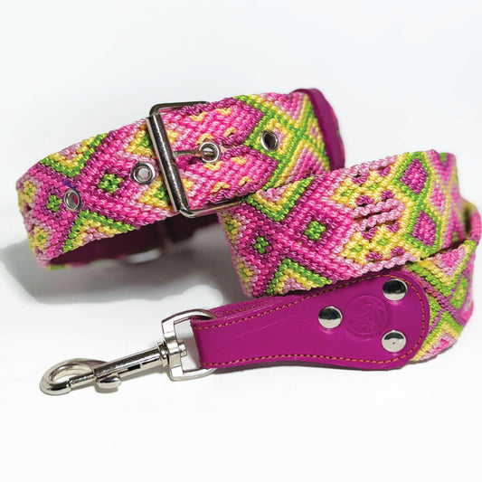 #49 -Large- Pinkberry Dog Collar & Leash Set