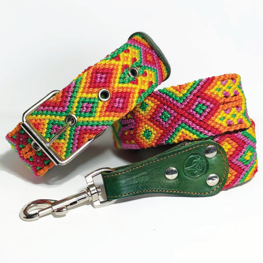 #53 -Large- Starburst Dog Collar & Leash Set