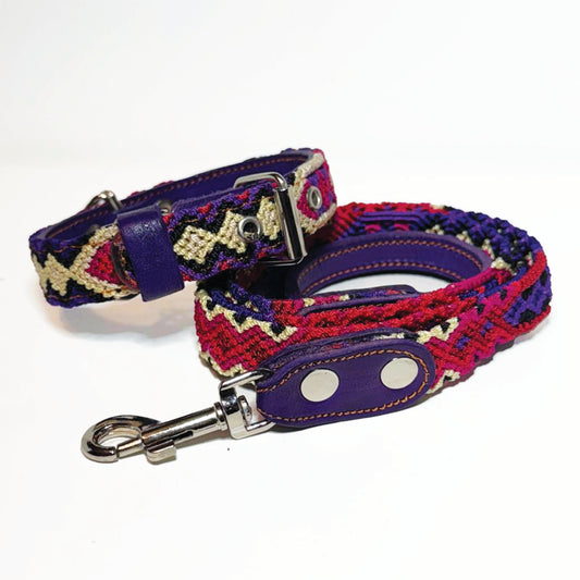 #01 -Small- Blackberry Dog Collar & Leash Set