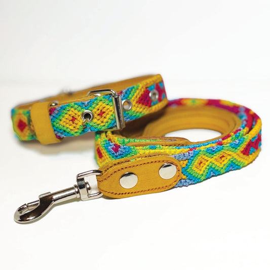 #06 -Small- Fruit Loop Dog Collar & Leash Set
