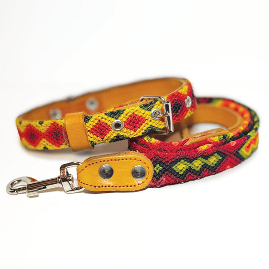 #03 -Small- Citrus Dog Collar & Leash Set