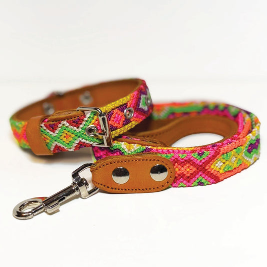 #13 -Small- Trophic Thunder Dog Collar & Leash Set