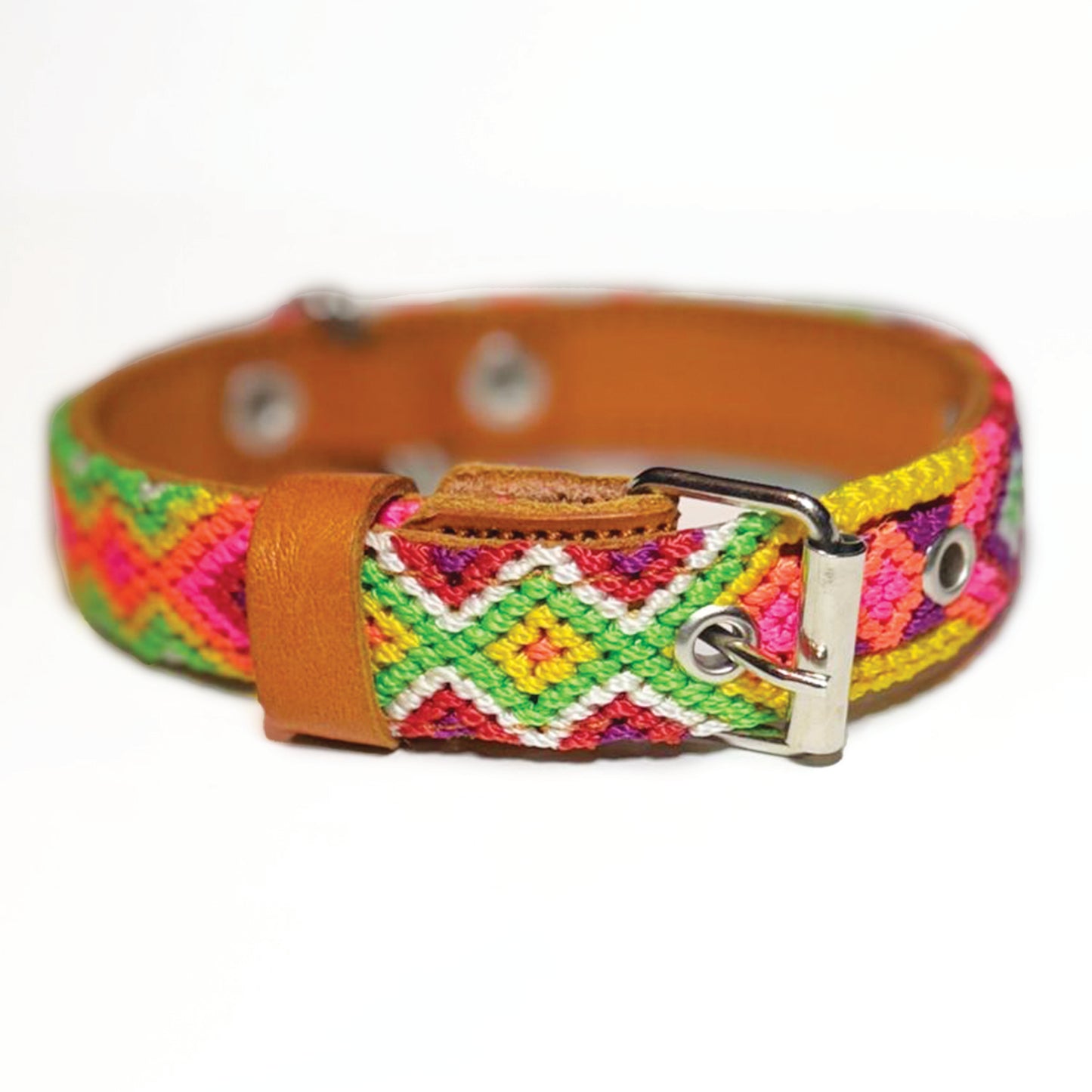 #13 -Small- Trophic Thunder Dog Collar & Leash Set