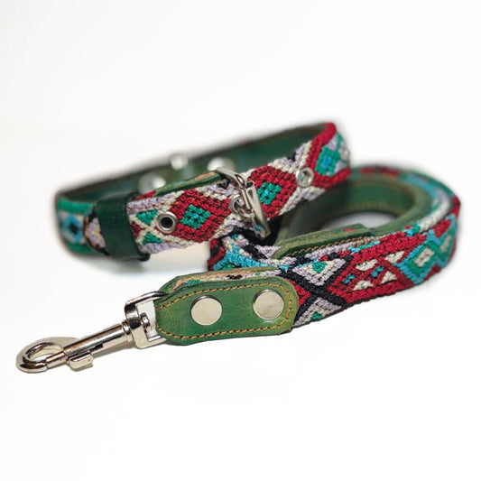 #11 -Small- Pineberry Dog Collar & Leash Set
