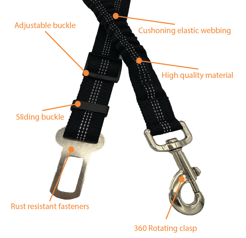 Black Seat Belt Leash