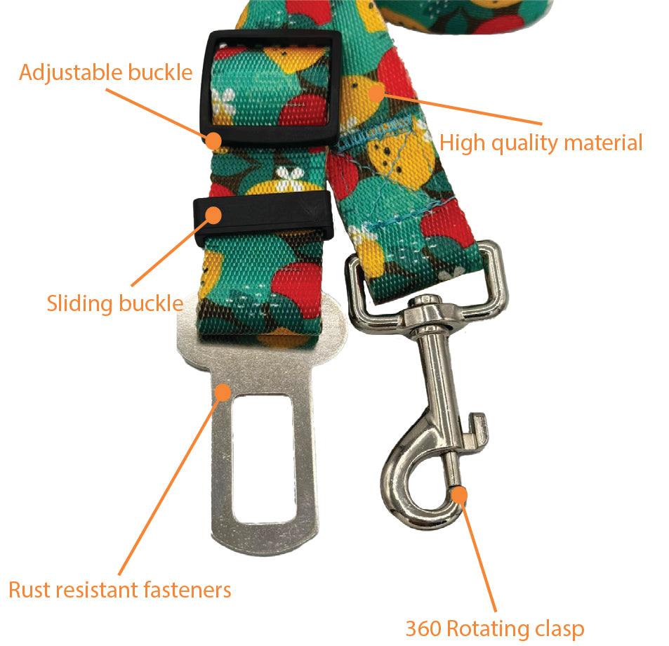 Lemon Seat Belt Leash