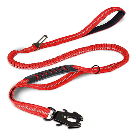 Red Seat Belt Leash