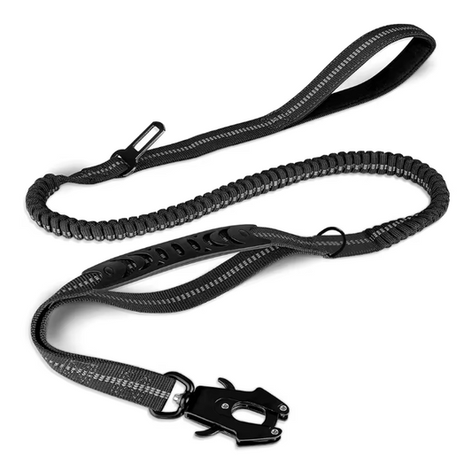 Black Seat Belt Leash