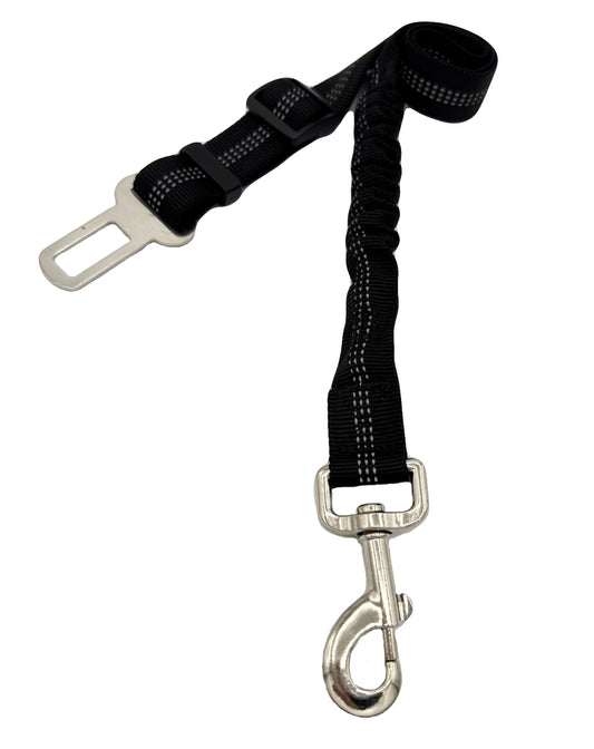 Black Seat Belt Leash