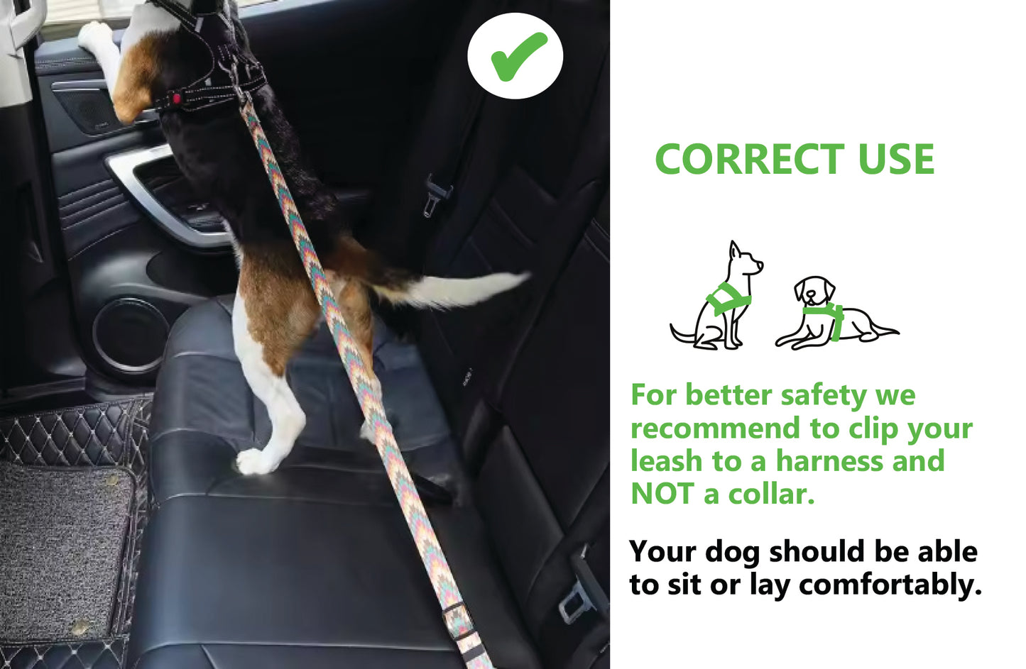 Starburst Seat Belt Leash