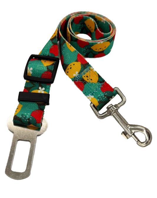 Lemon Seat Belt Leash