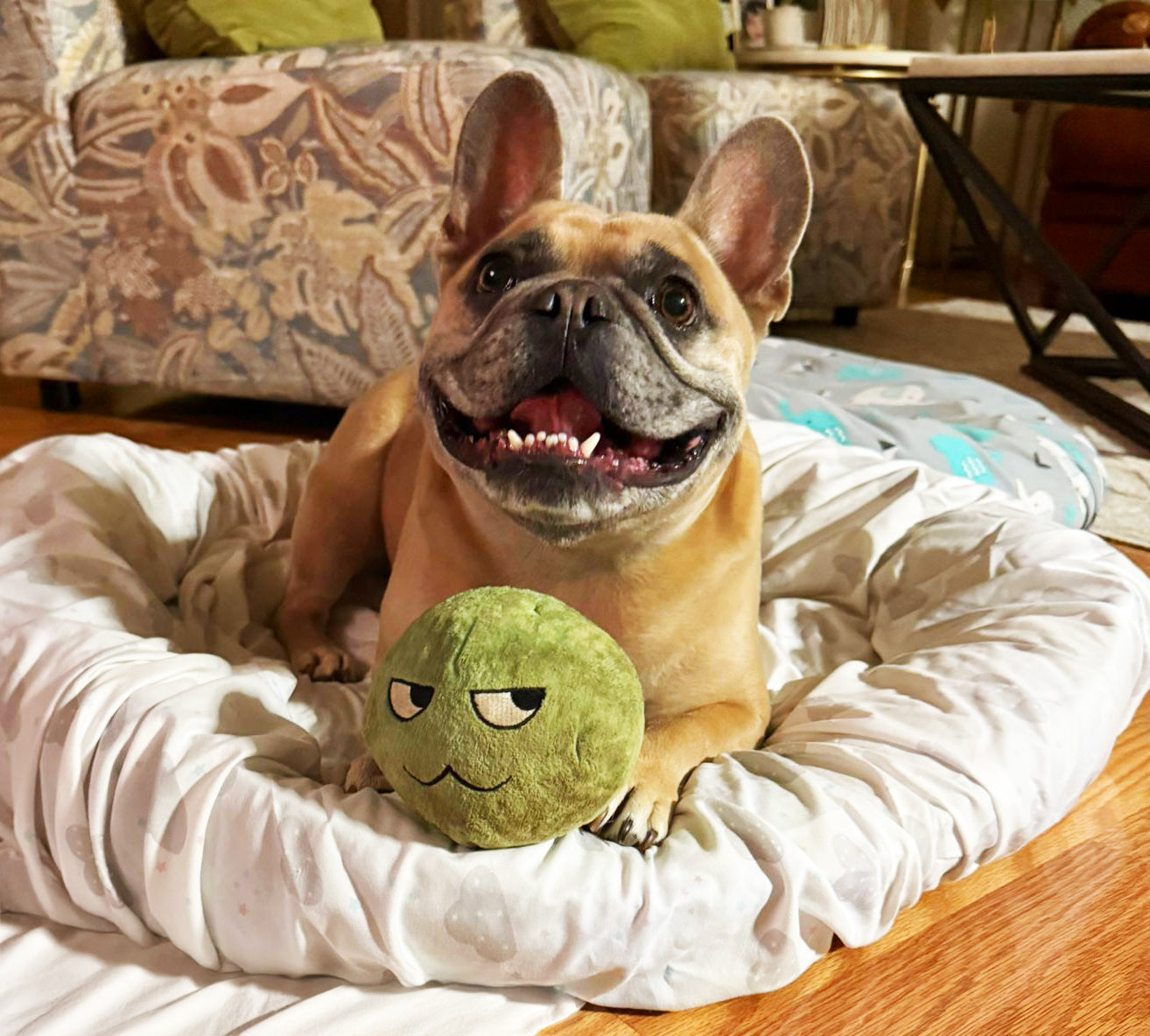Doug the Frog