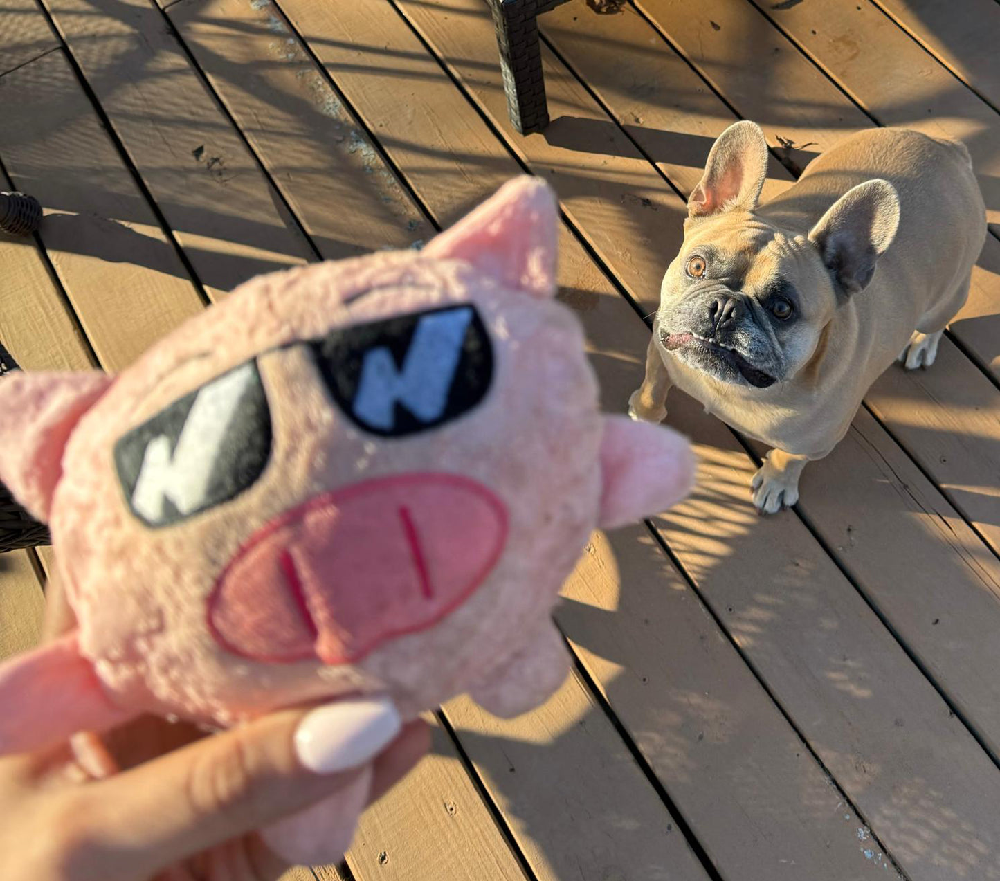 Rick the Pig